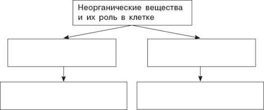 С помощью текста параграфа 50 учебника составьте схему взаимосвязей между компонентами