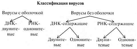 Формы жизни схема