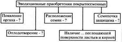 Эволюционные приобретения покрытосеменных схема