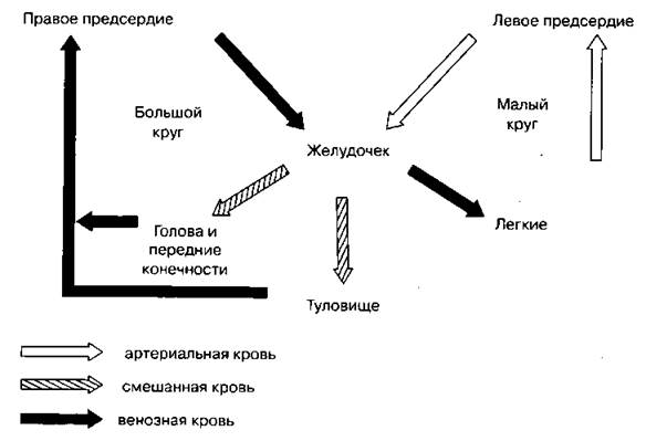 В неком плане